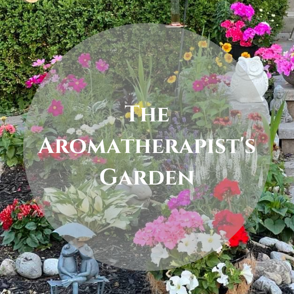 The Aromatherapist's Garden